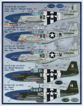 FBD32006 P-51 Mustang Meyer’s Maulers 487th FS Teil 1
