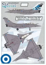 SY48159 Rafale EG Ramstein Flag 2024