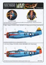 KW172044 P-47D Thunderbolt