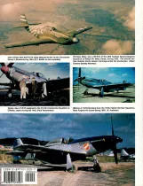 SSSS6070 P-51 Mustang