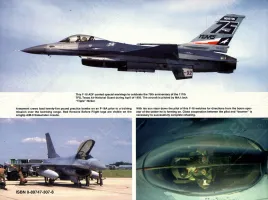 SSWA5501 F-16 Fighting Falcon Walk Around