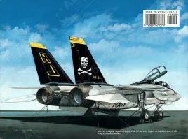 SSWA5503 F-14 Tomcat Walk Around