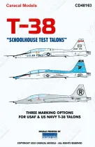 CD48163 T-38 Schoolhouse Test Talons