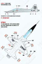 CD48163 T-38 Talon U.S. Air Force & U.S. Navy