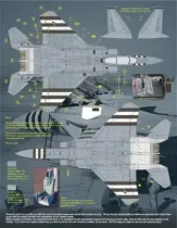 TB48221 F-/TF-15A Eagle
