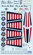 CDD4803 F-16C Fighting Falcon 111th FS Anniversary Finish