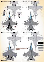 DXM48048 F/A-18E/F Super Hornet & EA-18G Growler VX-9 Vampires