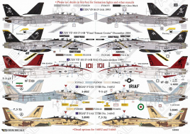 DXM48053 F-14A/B Tomcat