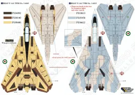 DXM48053 F-14A/B Tomcat Teil 1